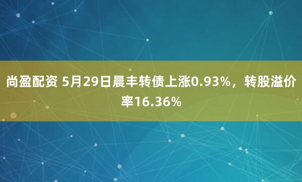 尚盈配资 5月29日晨丰转债上涨0.93%，转股溢价率16.36%