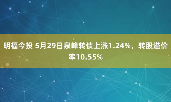 明福今投 5月29日泉峰转债上涨1.24%，转股溢价率10.55%