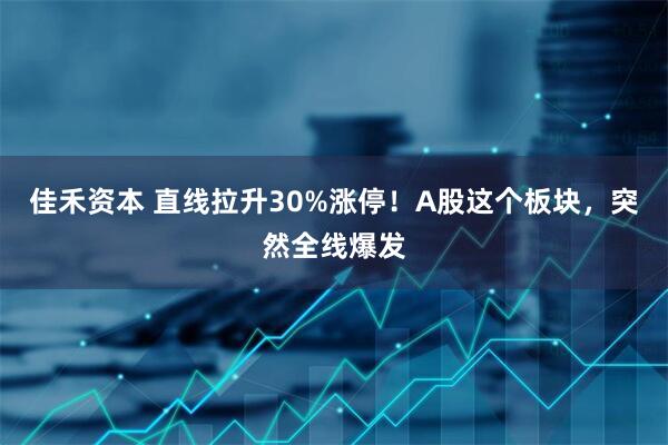 佳禾资本 直线拉升30%涨停！A股这个板块，突然全线爆发