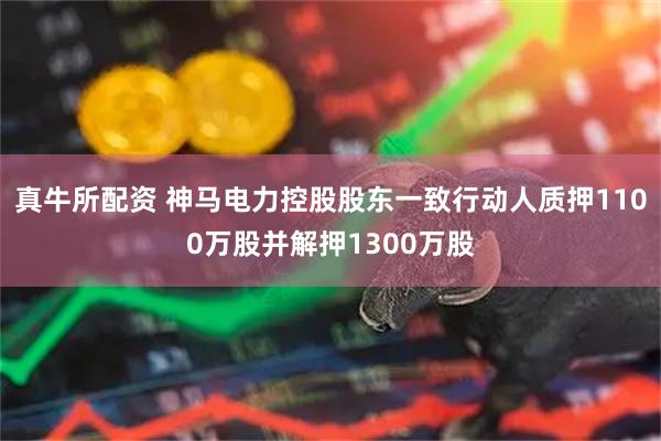 真牛所配资 神马电力控股股东一致行动人质押1100万股并解押1300万股
