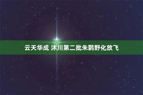 云天华成 沐川第二批朱鹮野化放飞