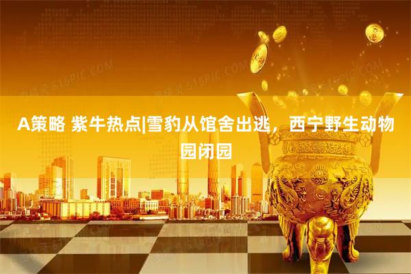 A策略 紫牛热点|雪豹从馆舍出逃，西宁野生动物园闭园