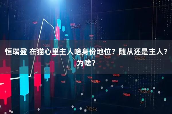 恒瑞盈 在猫心里主人啥身份地位？随从还是主人？为啥？