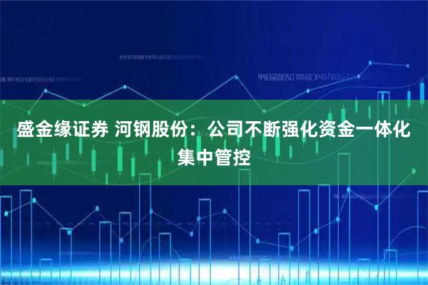 盛金缘证券 河钢股份：公司不断强化资金一体化集中管控