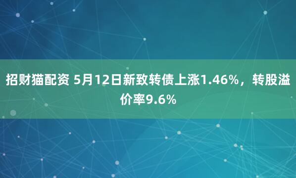 招财猫配资 5月12日新致转债上涨1.46%，转股溢价率9.6%