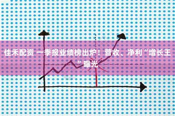 佳禾配资 一季报业绩榜出炉！营收、净利“增长王”曝光
