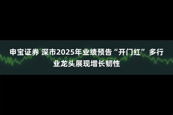申宝证券 深市2025年业绩预告“开门红” 多行业龙头展现增长韧性